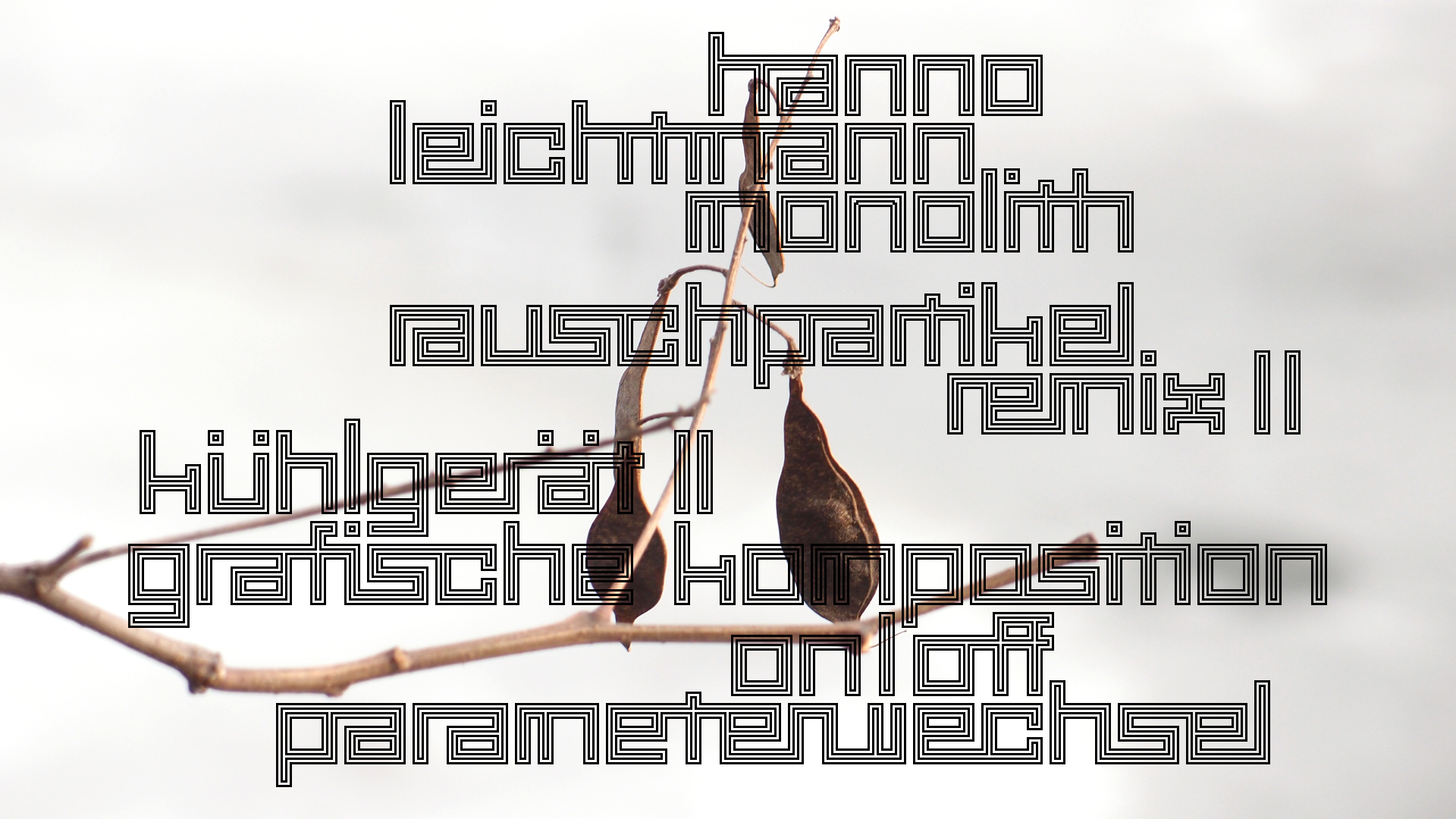 2021-03-10 Hanno Leichtmann - 1996 Monolith (rauschpartikel Remix 1 - 3)